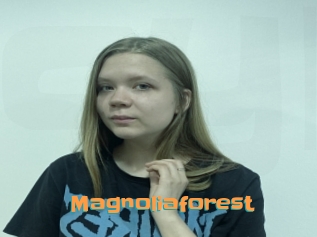 Magnoliaforest