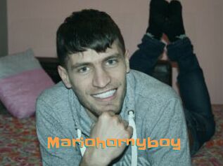 Mariohornyboy
