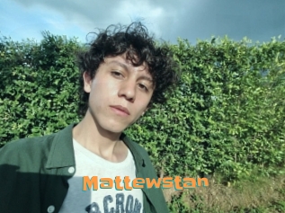 mattewstan Cyberhuren
