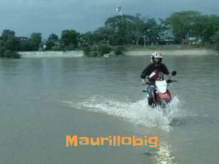 Maurillobig