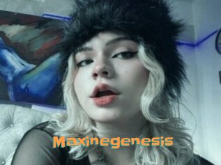 Maxinegenesis