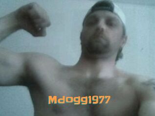 Mdogg1977