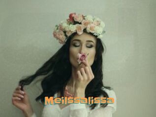 Meilssalissa