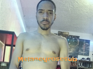 Melaneyrosesub