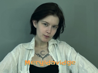 Meryldavidge