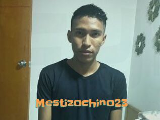 Mestizochino23