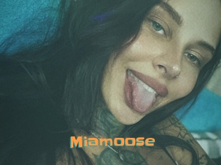 Miamoose