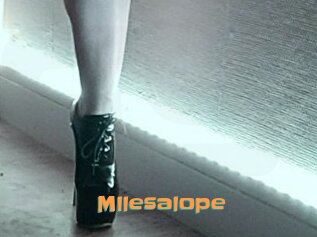 Mllesalope