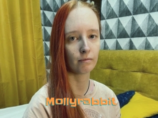 Mollyrabbit
