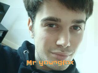 Mr_youngfox