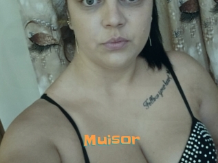 Muisor