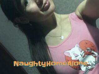 NaughtyHomeAlone