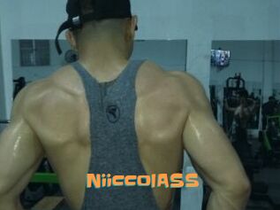 NiiccolASS