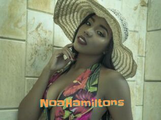 NoaHamiltons