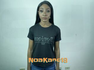 NoaKane18