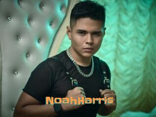 NoahHarris