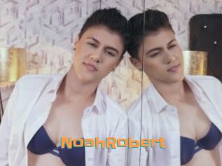 NoahRobert