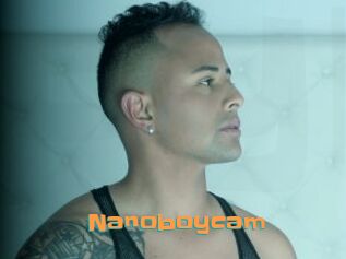 Nanoboycam