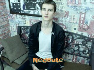 Nedcute