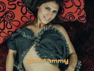 Nicesammy
