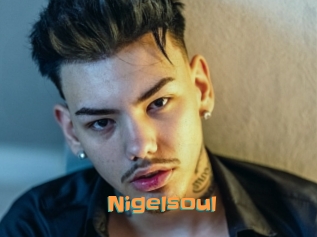 Nigelsoul