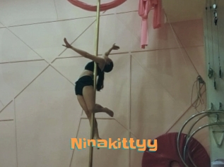 Ninakittyy