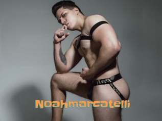 noahmarcatelli Cyberhuren