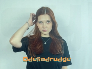 Odeliadrudge