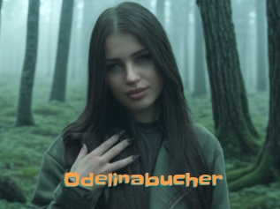 Odelinabucher