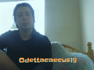 Odettacaecus19