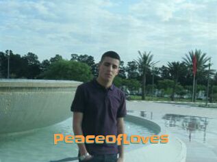 PeaceofLoves