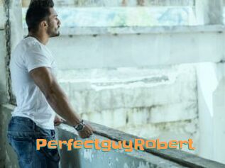 PerfectguyRobert