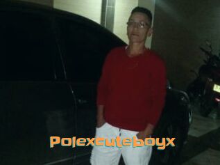 Polexcuteboyx