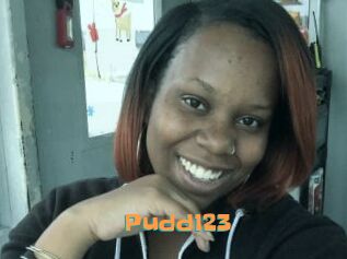 Pudd123