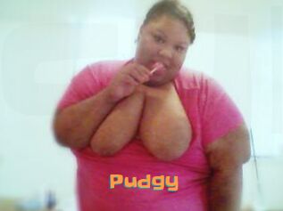 Pudgy