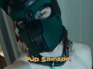 Pup_Samson