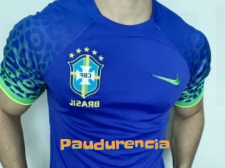 Paudurencia