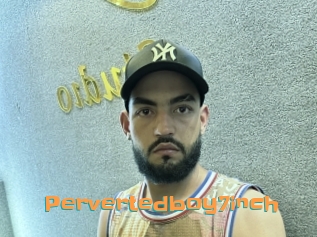 Pervertedboy7inch