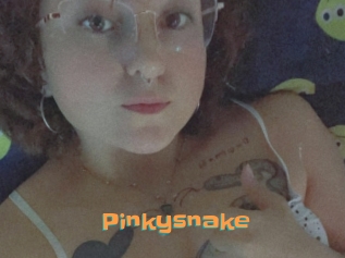 Pinkysnake