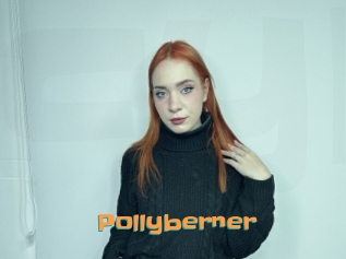 Pollyberner