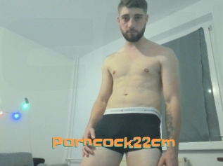 Porncock22cm