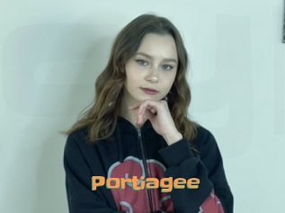 Portiagee