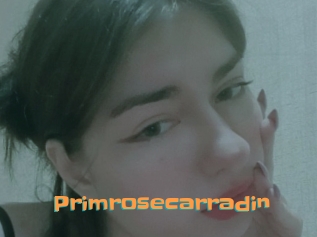 Primrosecarradin