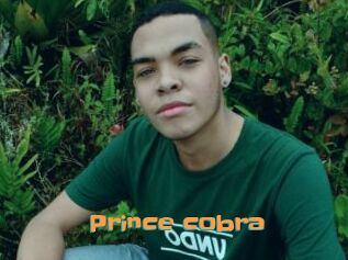 Prince_cobra