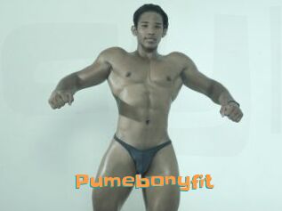 Pumebonyfit