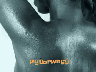 Pytbrwn69