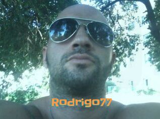 Rodrigo77