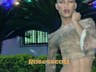 rosesscott Cyberhuren