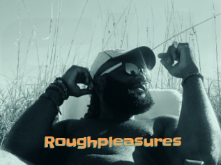 Roughpleasures