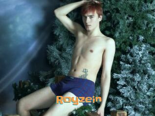Royzein